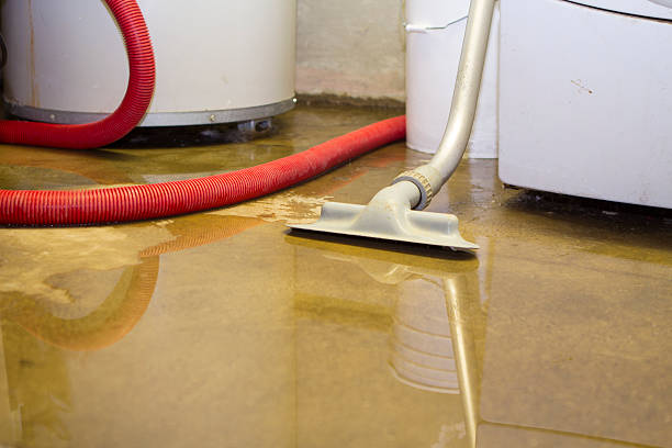Best Professional water damage repair  in Luling, LA