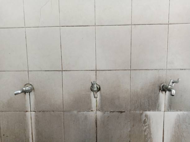 Best Local water damage restoration  in Luling, LA