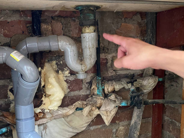 Best Water damage contractors near me  in Luling, LA
