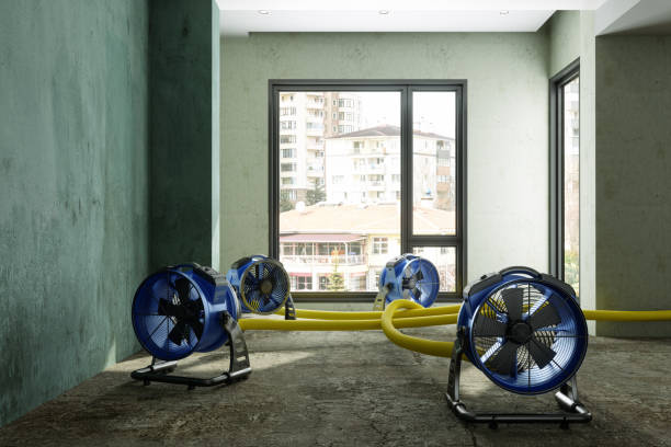Best Residential water damage restoration  in Luling, LA